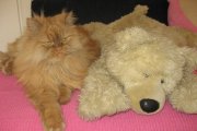Marko (levo) ;-)